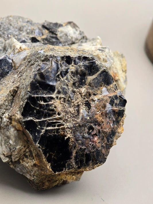 Biotitt Glimmerkrystall - Sjelden stor sekskantformasjon