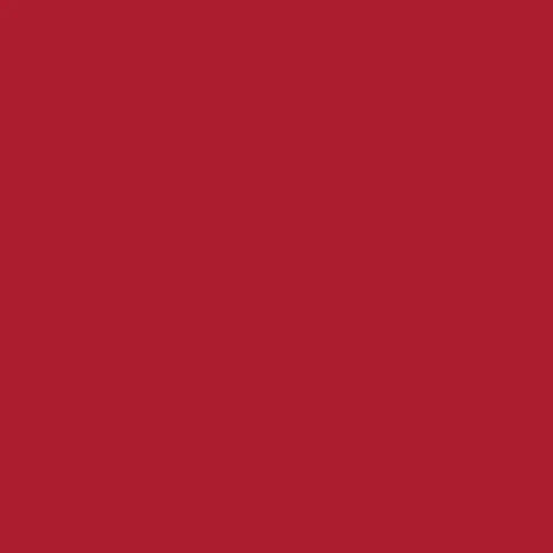ATE550-julerod-lysfarge-farge-til-lys - DesignGaver