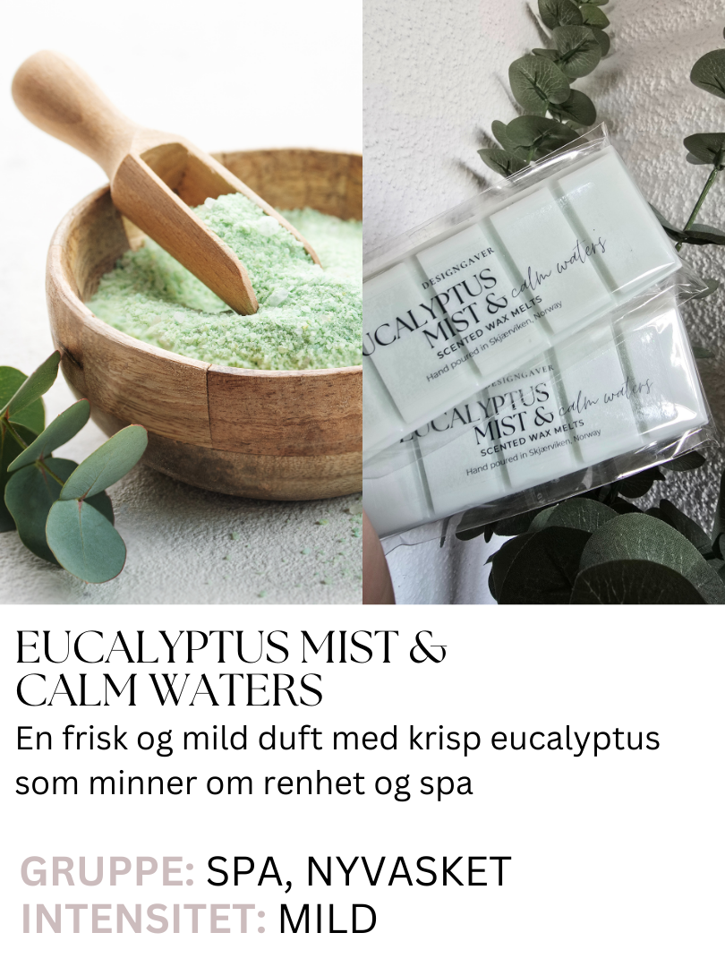 Eucalyptus Mist & Calm Waters - Duftvoks