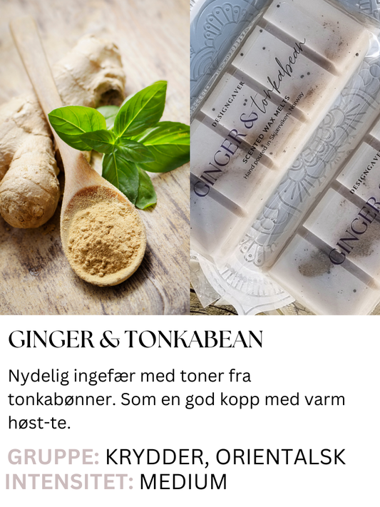 Ginger & Tonkabean - Duftvoks