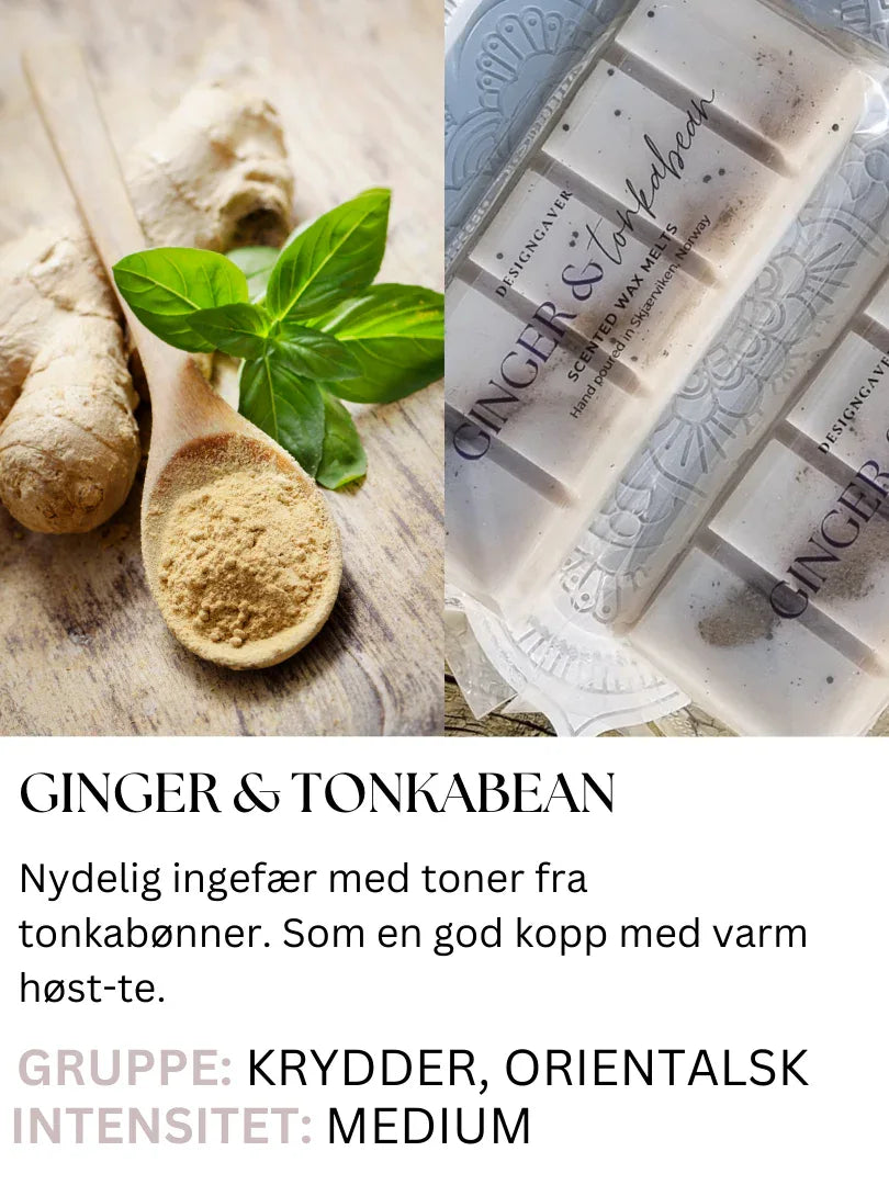 GInger_Tonkabean - DesignGaver