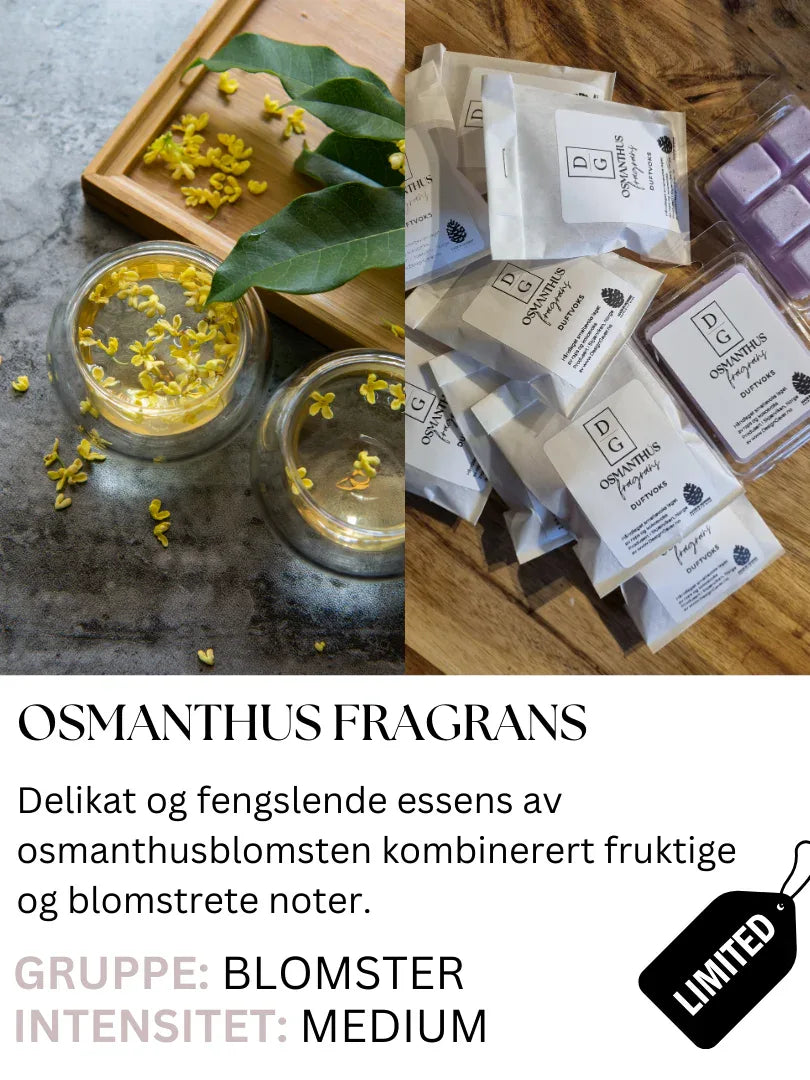 Osmanthusfragrans - DesignGaver