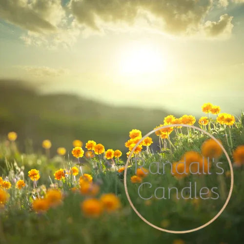 buttercup_duftolje_til_lysstoping_designgaver - DesignGaver