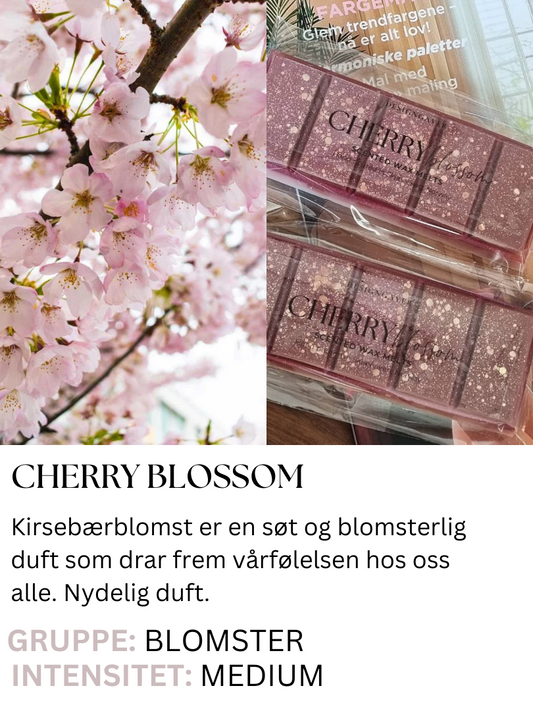 Cherry blossom - Duftvoks som lukter kirsebærblomst - Duftvoks