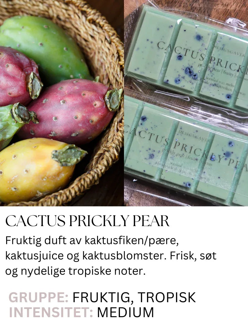 kaktus-kaktusfiken-prickly-pear-cactusdesigngaver - DesignGaver