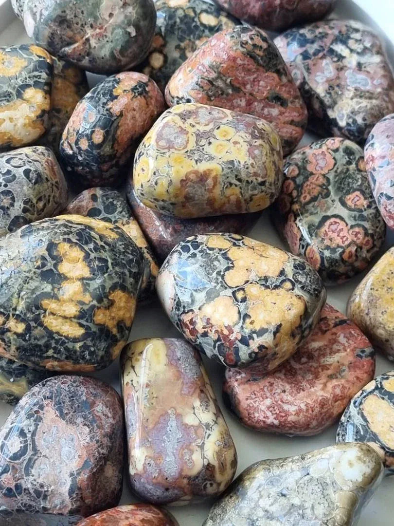 Leopardjaspis - Tromlet stein