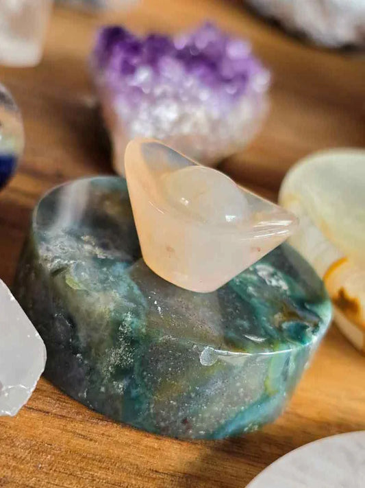 Agat Mose - Moseagat - Puck