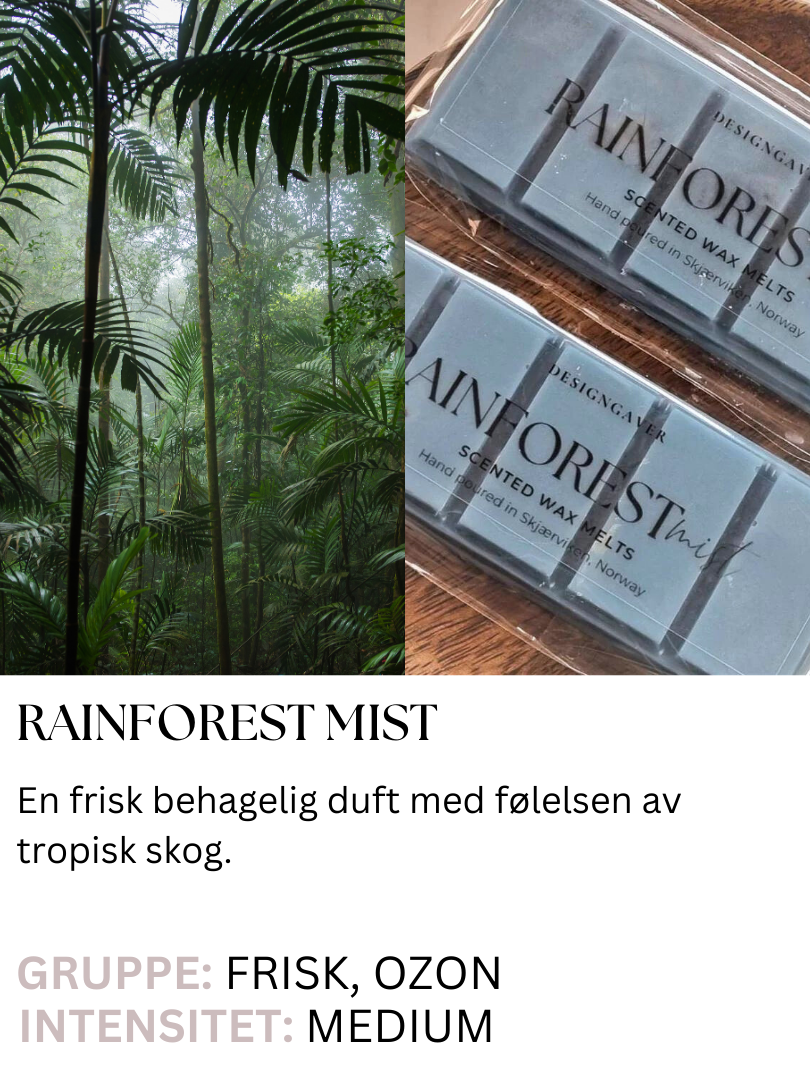 Rainforest mist - Duftvoks med duft av bambus og tropisk skog - Duftvoks