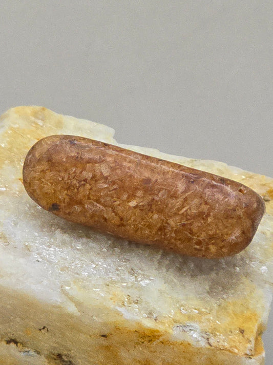 Copal (ung rav) - 2-3 cm - Tromlet
