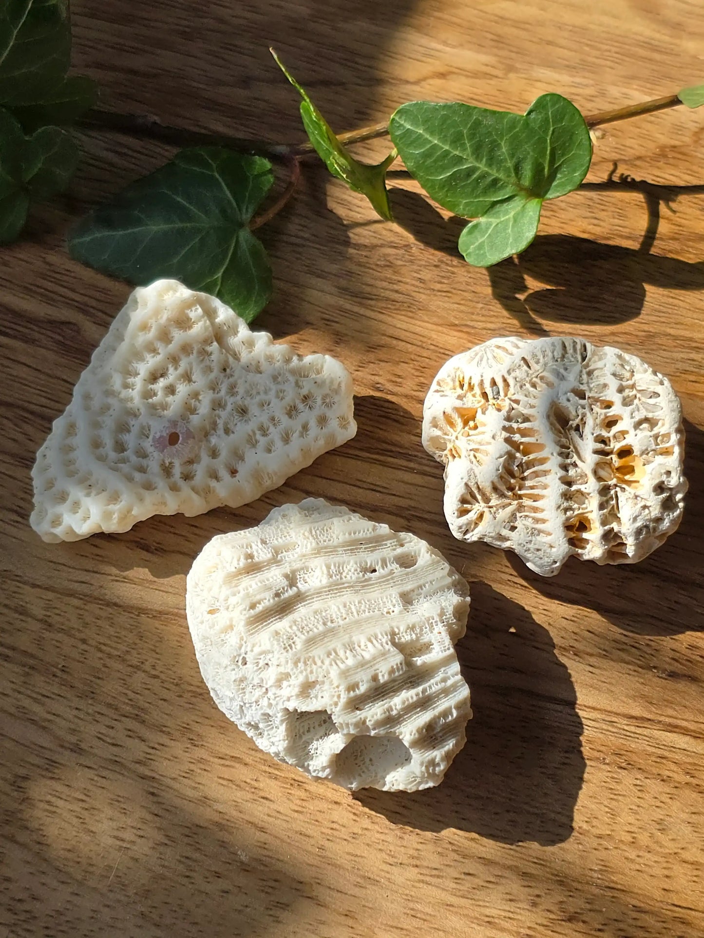 rn-image_picker_lib_temp_3e496aa2-6fa3-4e76-8b30-b3e02b81e55d - DesignGaver