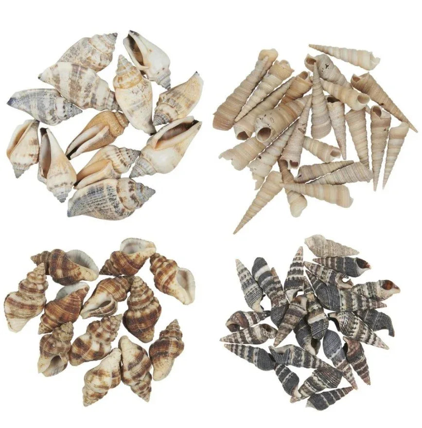 Skjell og konkylier i pose 10 stk