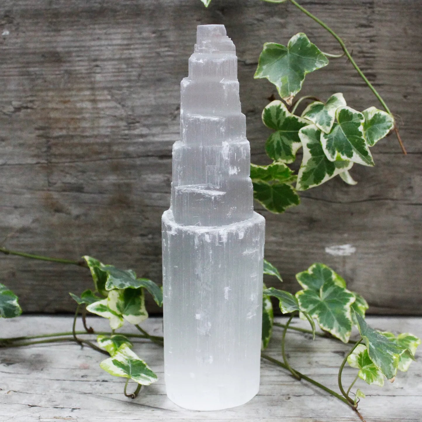 wi - DesignGaver
