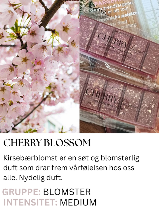 Cherry blossom - Duftvoks som lukter kirsebærblomst