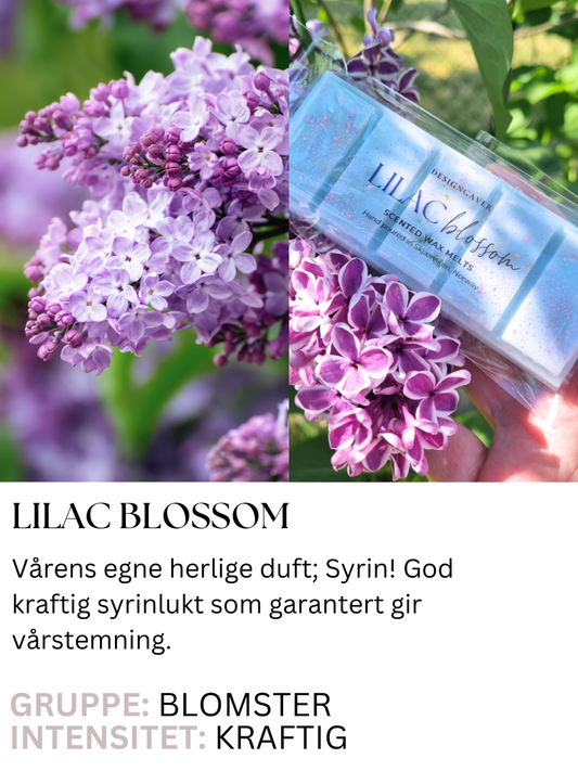 Lilac Blossom - Duftvoks som lukter syrin