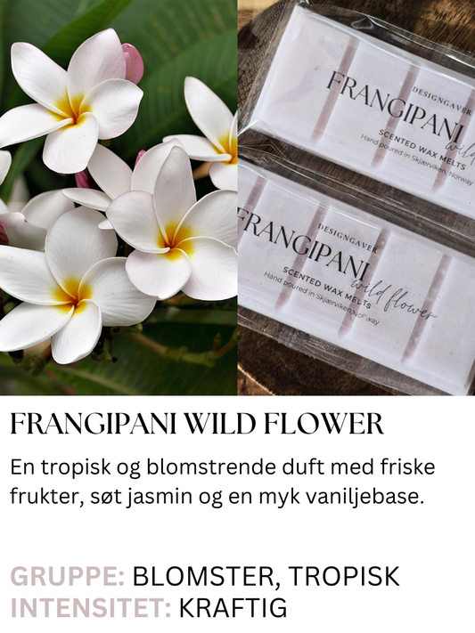 Frangipani Wild Flower – Duftvoks