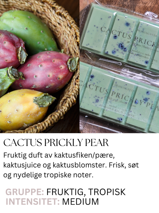 Cactus Prickly Pear - Duftvoks