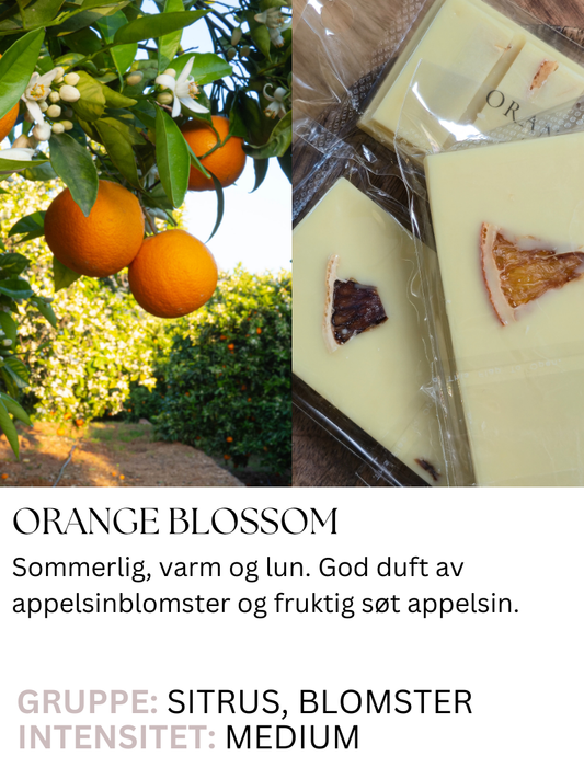 Orange Blossom - Duftvoks med lukt av appelsinblomst