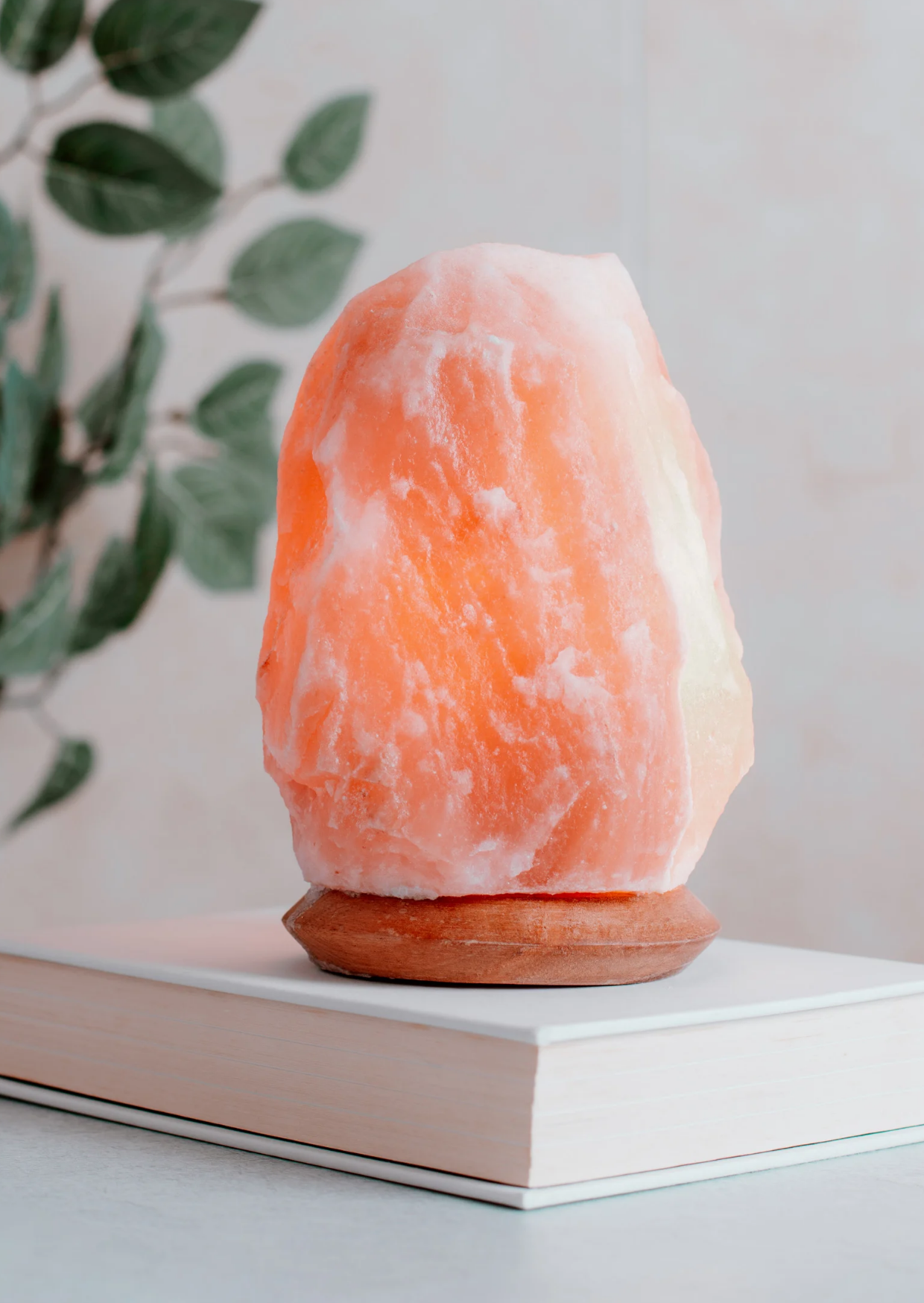 Himalaya Saltsteinslampe 5-7 kg - Tresokkel