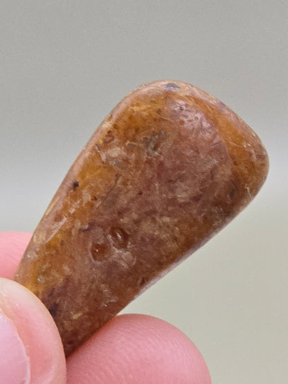 Copal  (ung rav) - 2-3 cm - Tromlet