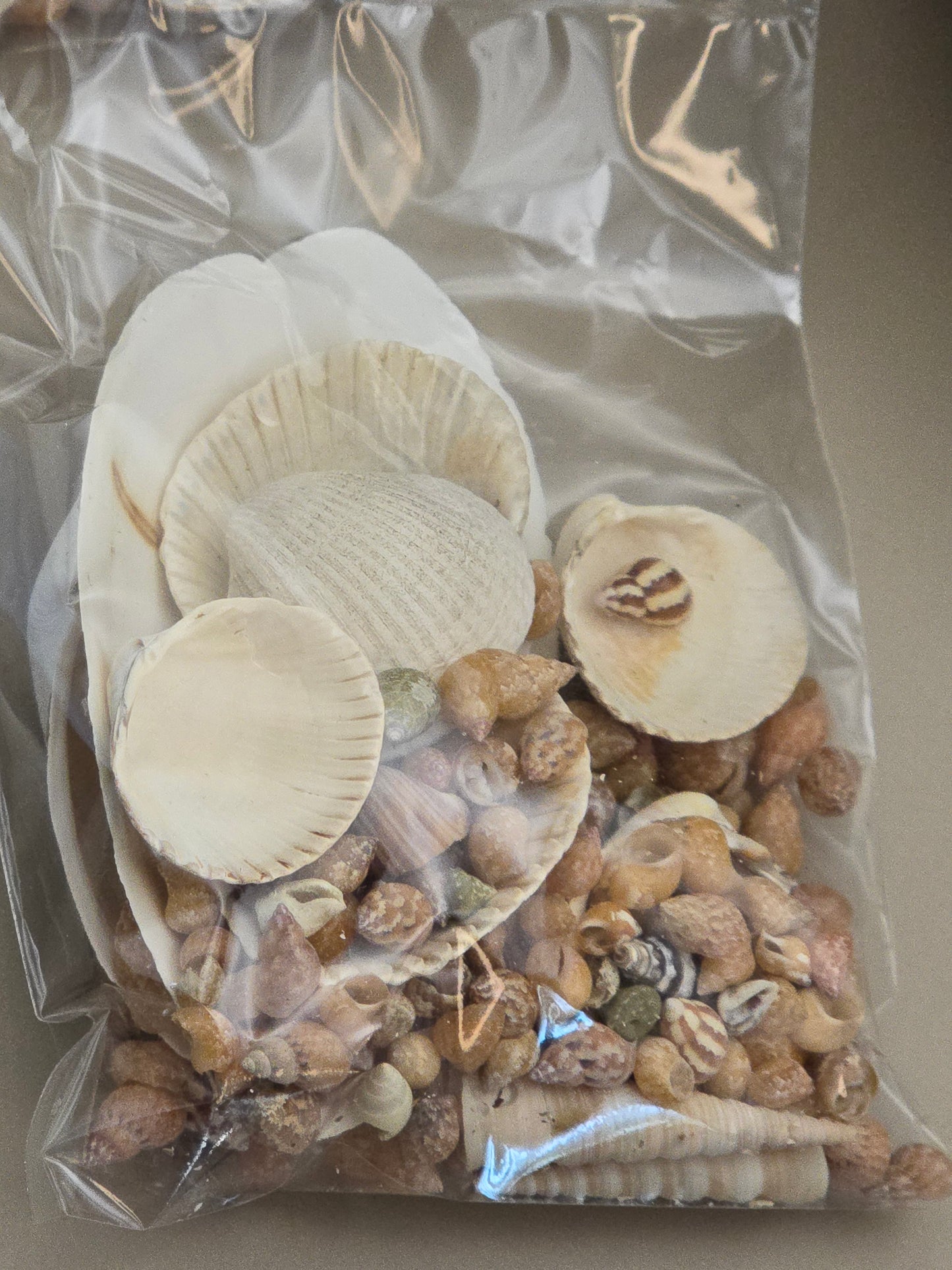 Seashell Dekorasjonsmix til feks rivertables og epoxyprosjekter